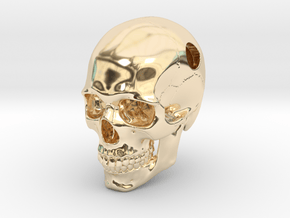 Skull Pendant _ P02 in 14K Yellow Gold: Large