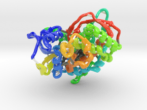 Cytochrome P450 BM3 mutant M11 (Large) in Glossy Full Color Sandstone