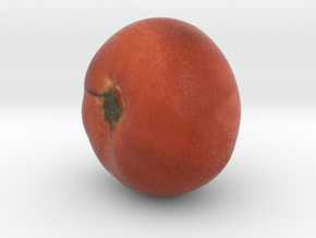 The Tomato in Full Color Sandstone