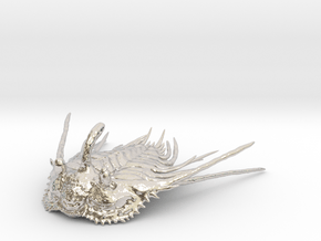 Trilobite - Kettneraspis prescheri (no stand) in Rhodium Plated Brass