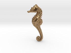 Seahorse in Natural Brass