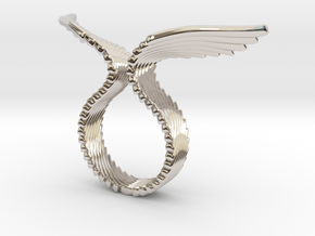 Wing Ring_D in Rhodium Plated Brass: 5 / 49