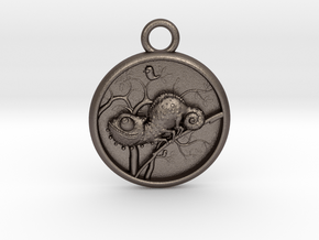 Chameleon-Medaillon3-mirrow in Polished Bronzed-Silver Steel