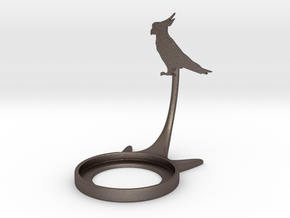 Animal Parrot in Polished Bronzed-Silver Steel