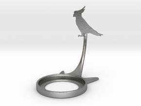 Animal Parrot in Natural Silver