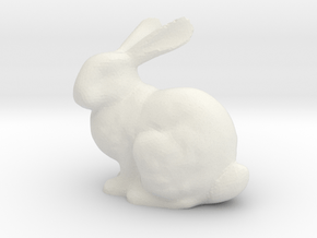 Bunnyr in White Natural Versatile Plastic