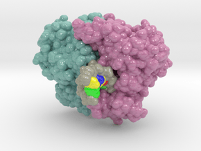 SgrA DNA Complex 3DVO in Glossy Full Color Sandstone: Extra Small