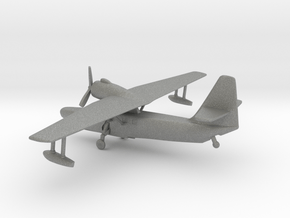 Beriev Be-8 Mole (Landing Gear) in Gray PA12: 1:200