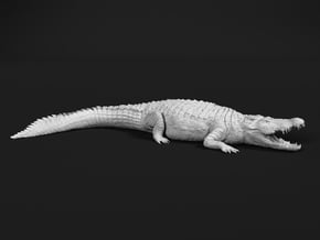 Nile Crocodile 1:22 Mouth Open in White Natural Versatile Plastic