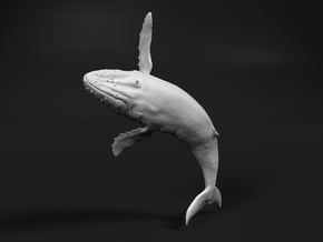 Humpback Whale 1:64 Breaching Male in White Natural Versatile Plastic