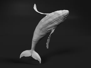 Humpback Whale 1:160 Breaching Female 1 in White Natural Versatile Plastic