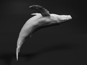 Humpback Whale 1:120 Breaching Female 2 in White Natural Versatile Plastic