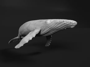 Humpback Whale 1:72 Swimming Female in White Natural Versatile Plastic