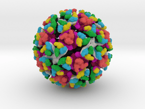 Mayaro Virus in Natural Full Color Sandstone