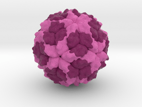 Human Picobirnavirus in Natural Full Color Sandstone