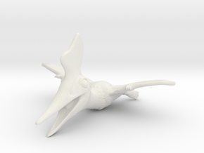 Pteranodon_Chubbie in White Natural Versatile Plastic