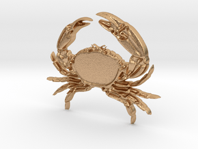 Creator Pendant crab in Natural Bronze