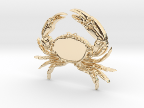 Creator Pendant crab in 14K Yellow Gold