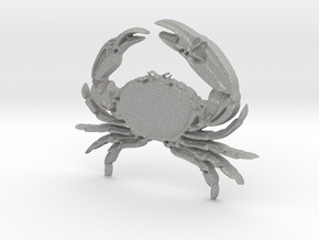 Creator Pendant crab in Aluminum