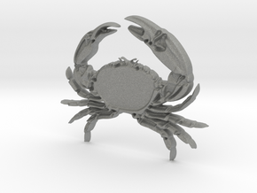 Creator Pendant crab in Gray PA12