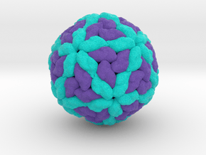 Leishmania RNA Virus in Natural Full Color Sandstone