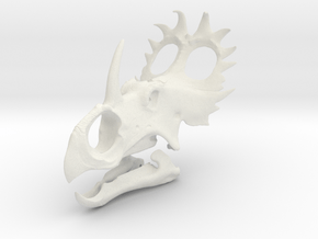 Sinoceratops Skull in White Natural Versatile Plastic: 1:12