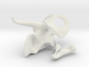 Nasutoceratops Skull- 1/18th scale replica in White Natural Versatile Plastic: 1:12