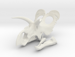 Medusaceratops Skull- 1/18th scale replica in White Natural Versatile Plastic: 1:12