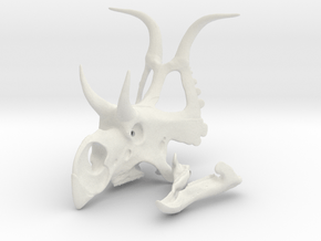 Diabloceratops skull in White Natural Versatile Plastic: 1:12