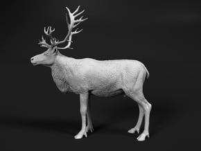 Reindeer 1:6 Standing Male 1 in White Natural Versatile Plastic
