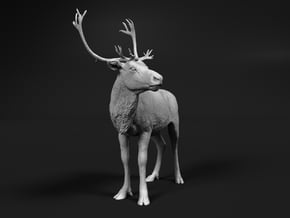 Reindeer 1:6 Standing Male 3 in White Natural Versatile Plastic