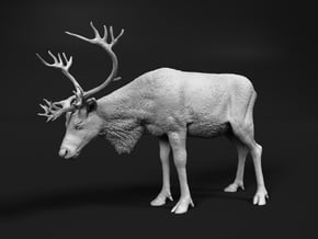 Reindeer 1:12 Standing Female 1 in White Natural Versatile Plastic