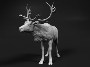 Reindeer 1:25 Standing Female 2 in White Natural Versatile Plastic