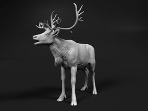 Reindeer 1:6 Female with mouth open in White Natural Versatile Plastic