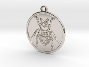 Beetle in Rhodium Plated Brass