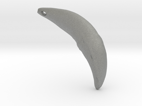 Wolf Fang Pendant (R) 3D-scan composite (DOWNLOAD) in Gray PA12