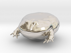 Wednesday Frog in Rhodium Plated Brass