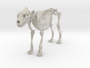 Lion Skeleton Sculpture in Natural Sandstone
