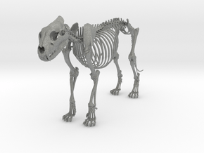 Lion Skeleton Sculpture in Gray PA12