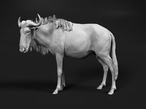 Blue Wildebeest 1:35 Standing Male in White Natural Versatile Plastic