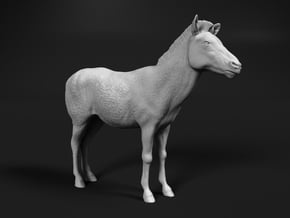 Plains Zebra 1:15 Standing Female in White Natural Versatile Plastic