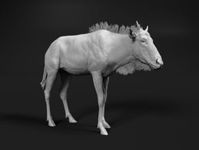 Blue Wildebeest 1:16 Standing Juvenile in White Natural Versatile Plastic