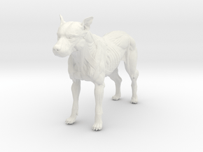 Canine - Dog in White Natural Versatile Plastic