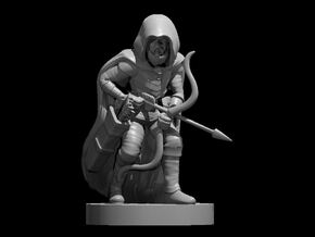 Gnome Ranger in Smooth Fine Detail Plastic