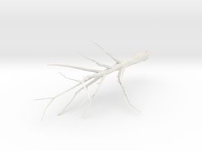 Tree Faceted - Trimmed Ends in White Natural Versatile Plastic