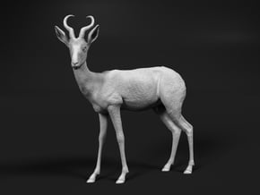 Springbok 1:9 Standing Male in White Natural Versatile Plastic