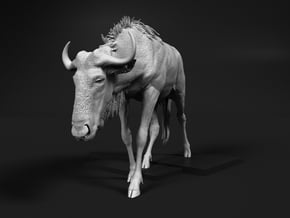 Blue Wildebeest 1:6 Male on uneven surface 2 in White Natural Versatile Plastic