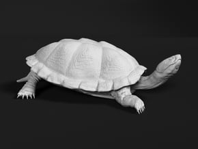 Serrated Hinged Terrapin 1:35 Sunbathing 2 in Tan Fine Detail Plastic