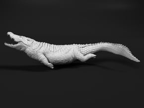 Nile Crocodile 1:9 Smaller one attacks in water in White Natural Versatile Plastic