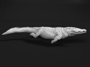 Nile Crocodile 1:6 Swimming in White Natural Versatile Plastic